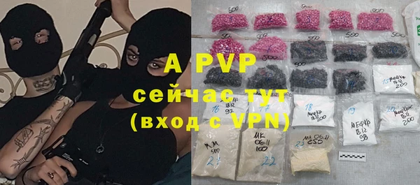a pvp Новозыбков