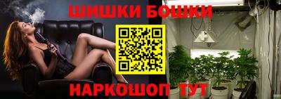 Альфа ПВП Беслан