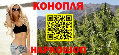 сатива Бийск