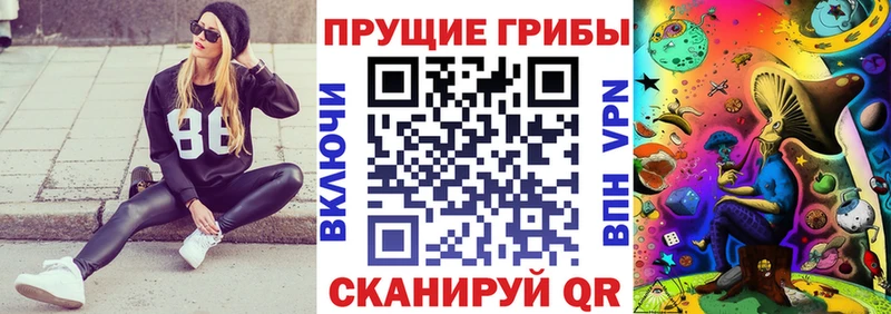 OMG ONION  дарк нет Telegram  Галлюциногенные грибы Cubensis  Зеленодольск 
