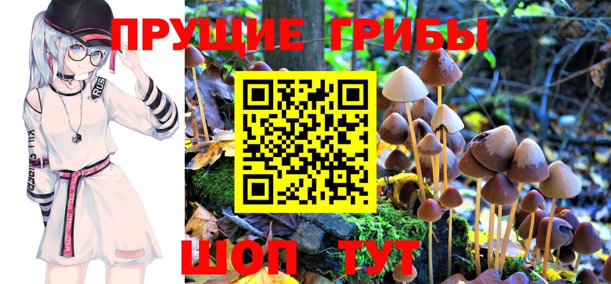 Зеленодольск  Галлюциногенные грибы Psilocybe  Вход с VPN 