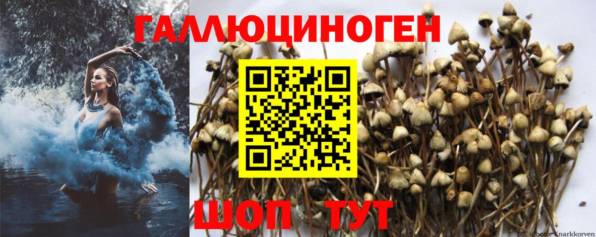 Псилоцибиновые грибы Magic Shrooms Зеленодольск