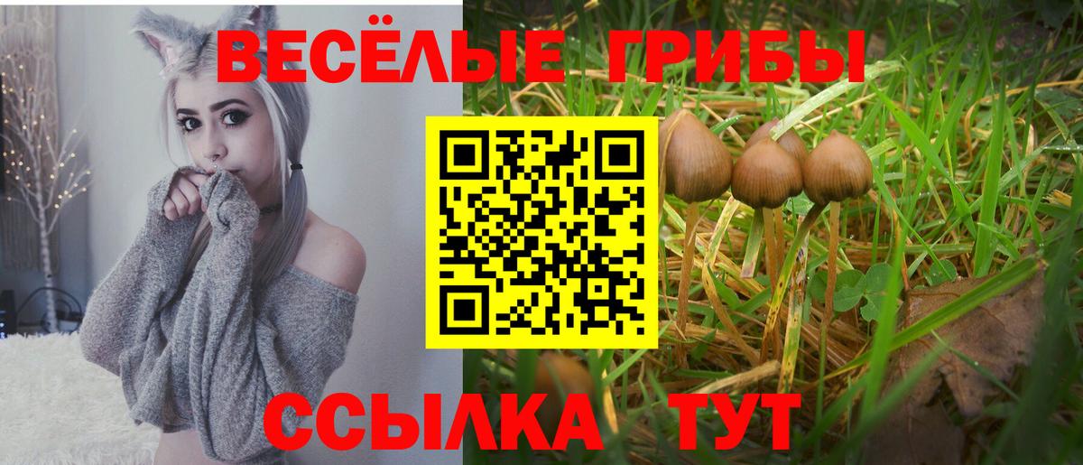 Зеленодольск  МАРИХУАНА  Экстази  Cocaine  Хэш  Альфа-ПВП  Вход с VPN  Мяу-Мяу  Гарик 