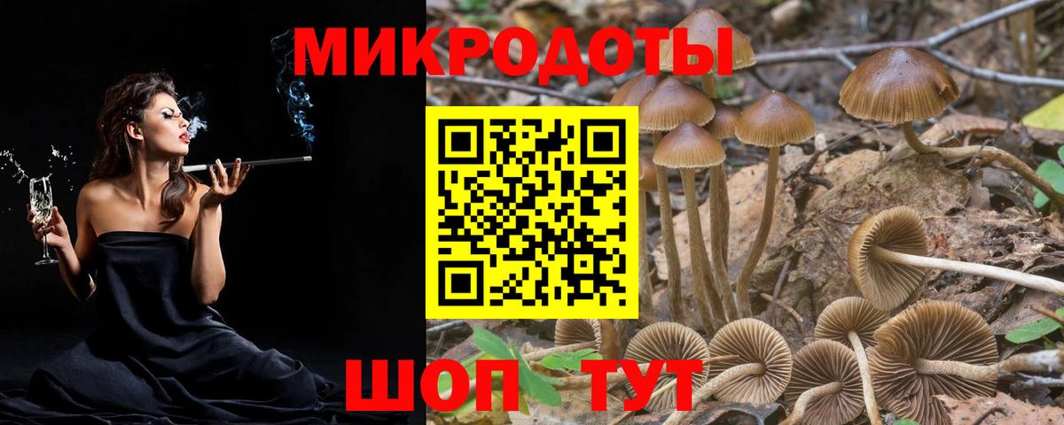 Галлюциногенные грибы Psilocybe  Псилоцибиновые грибы ЛСД  наркотики  Зеленодольск 
