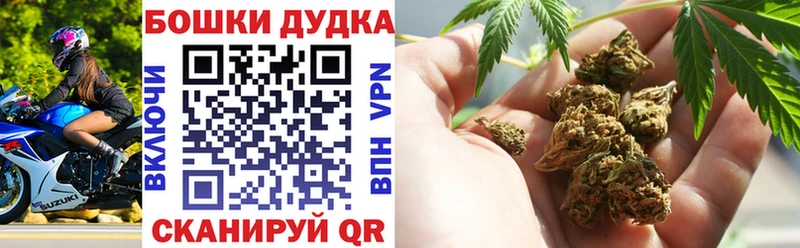 Марихуана Amnesia Зеленодольск